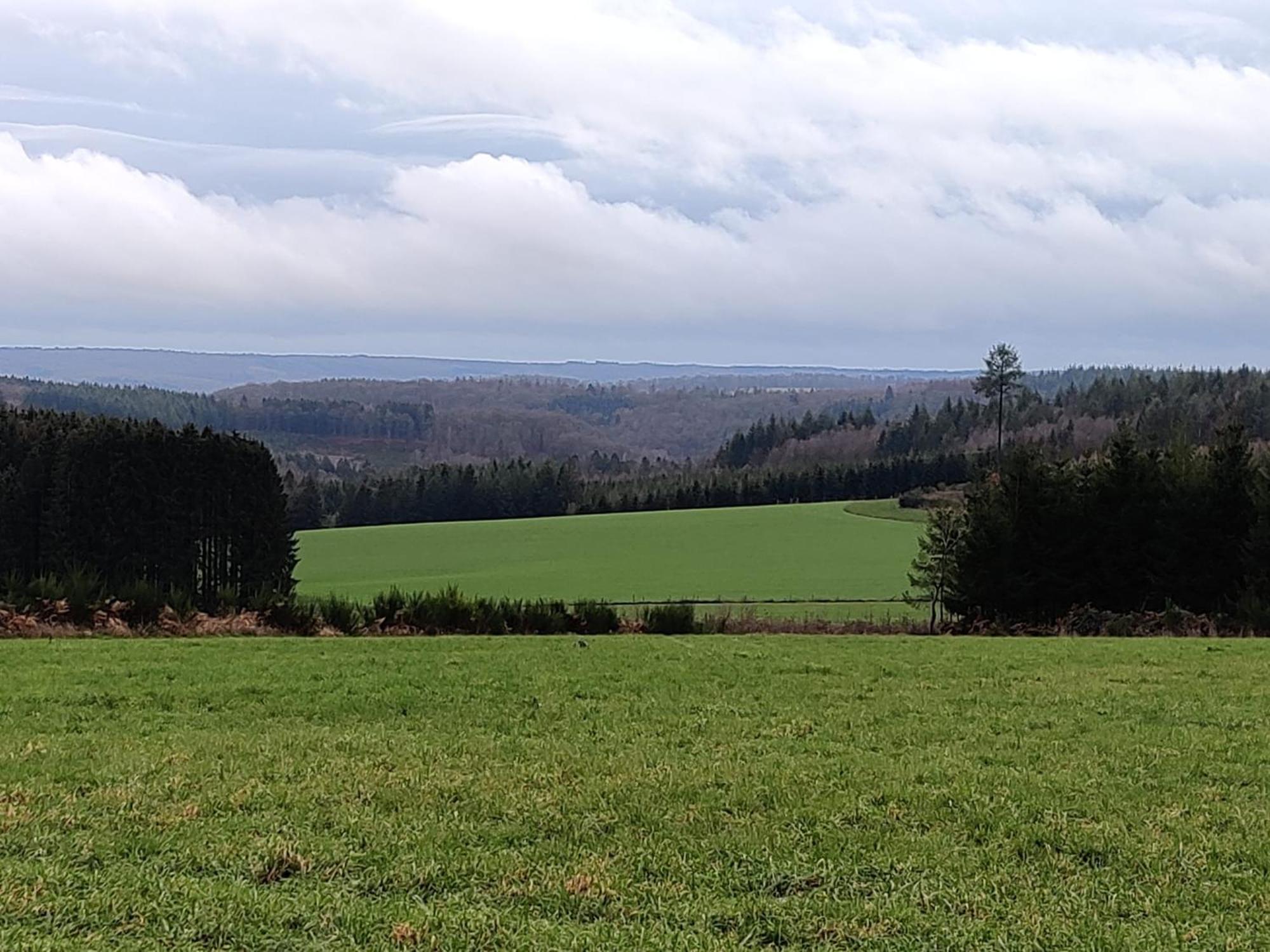 Vila La Ferme Oubliee Paliseul Exteriér fotografie